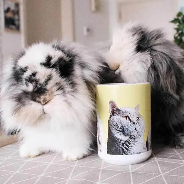 2x Coffee Mug Bundle