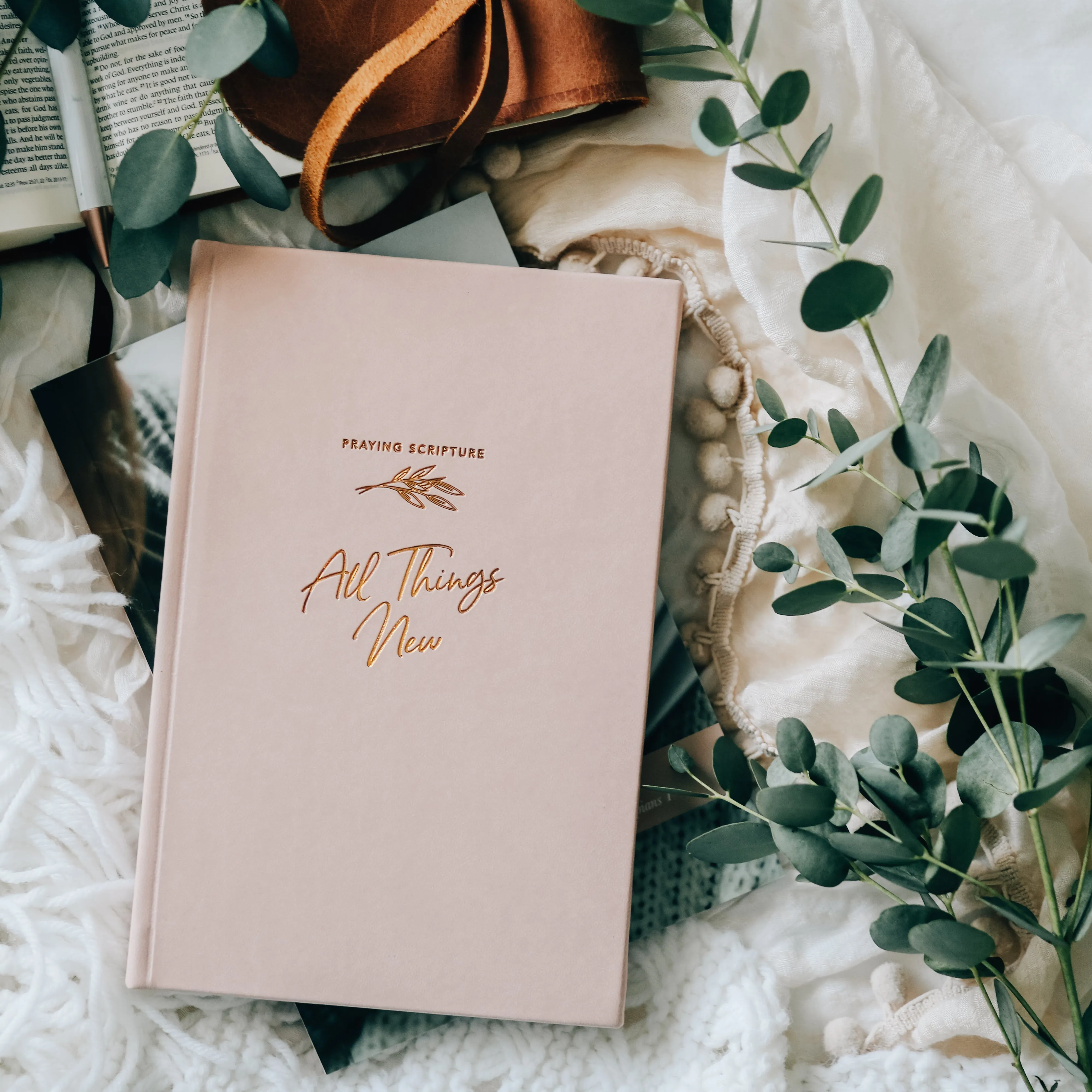 All Things New  - Praying Scripture Journal