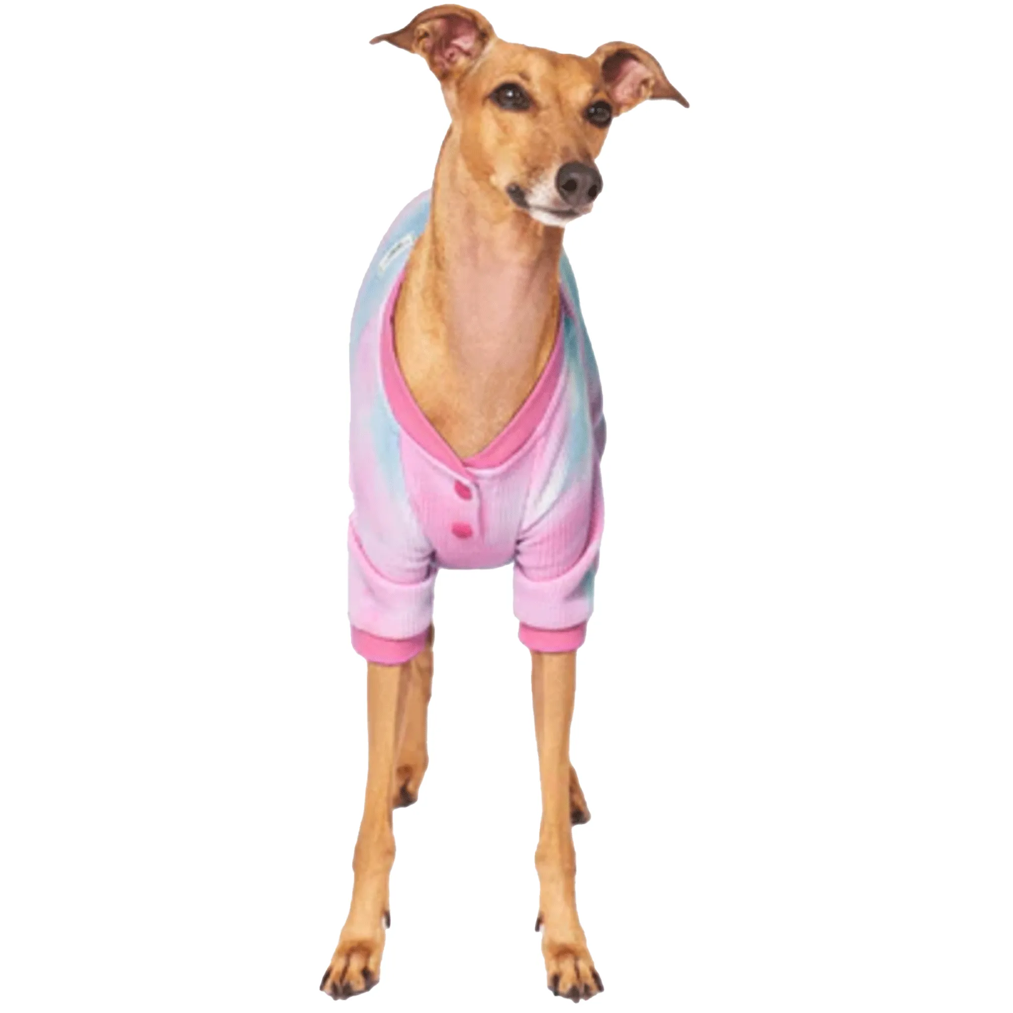 Canada Pooch One-of-a-Kind Waffle Onesie for Dogs