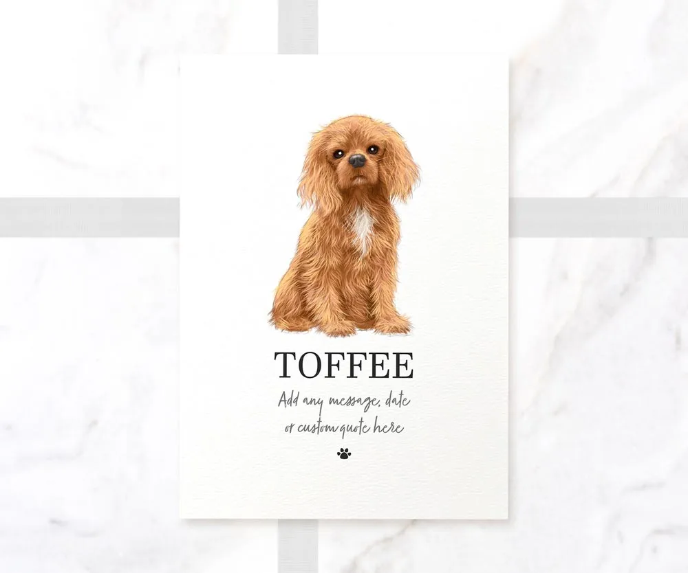 Cavalier King Charles Spaniel Personalised Print