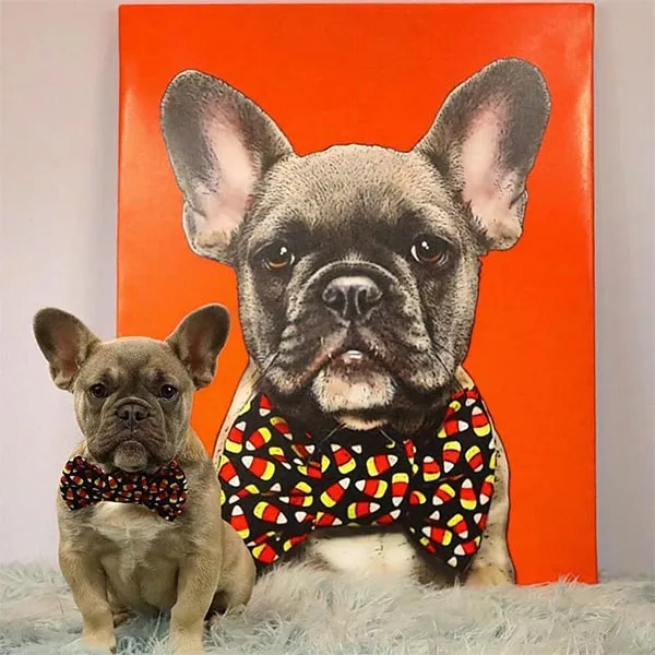 Original Pet Pop Art Canvas Wrap