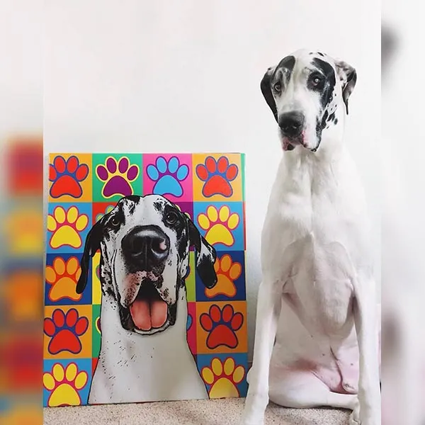 Original Pet Pop Art Canvas Wrap