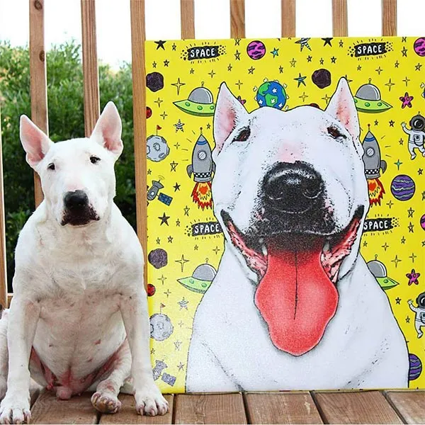 Original Pet Pop Art Canvas Wrap