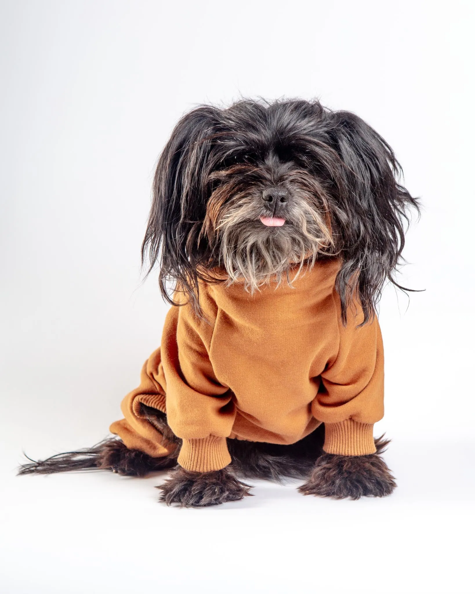 Sweatsuit Onesie for Dogs in Camel