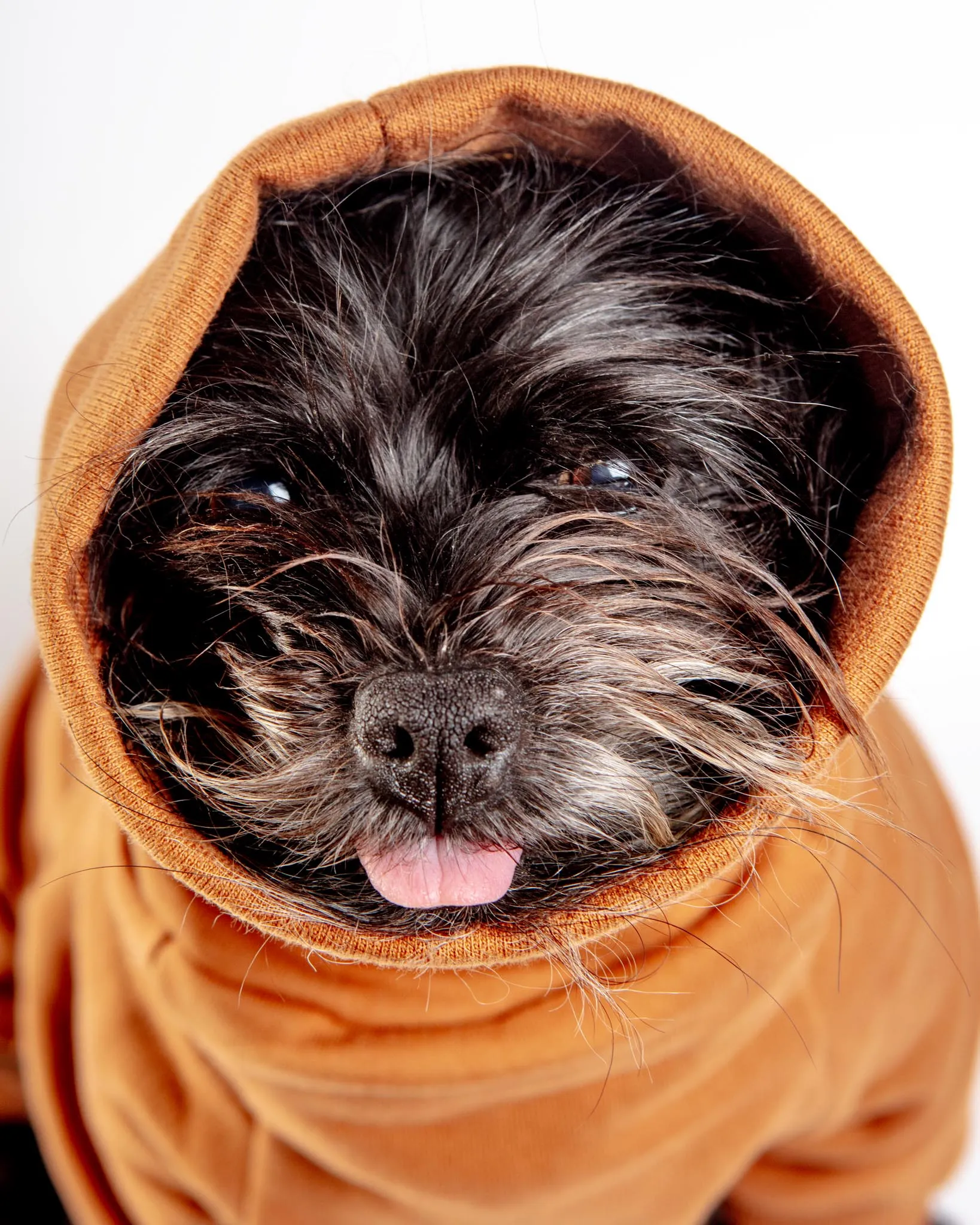 Sweatsuit Onesie for Dogs in Camel